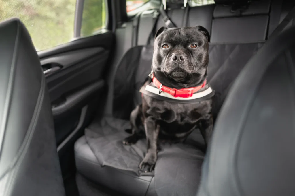 Staffordshire Bull Terriers  Dog Safety Belt for Honda HR-V