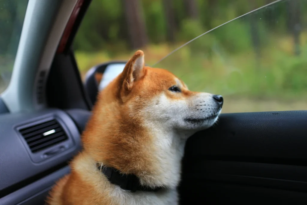 Shiba Inu Dog Carrier Car Seat for Lexus RX